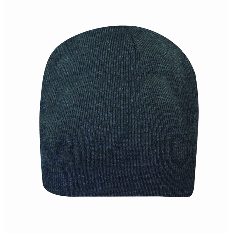 W1700 - Knit Beenie